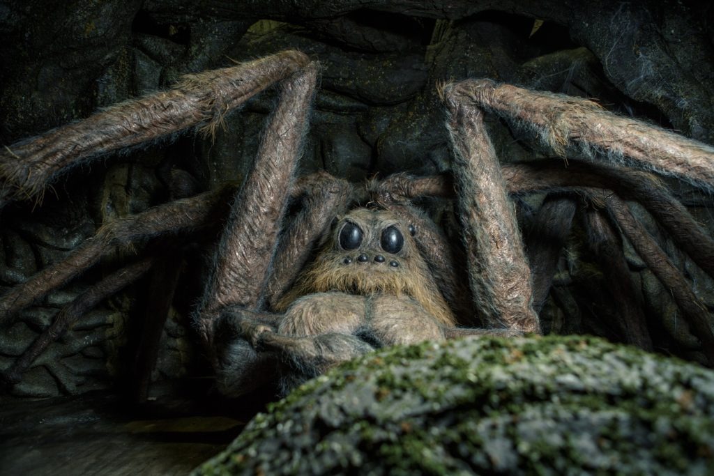 harry potter and the chamber of secrets spider