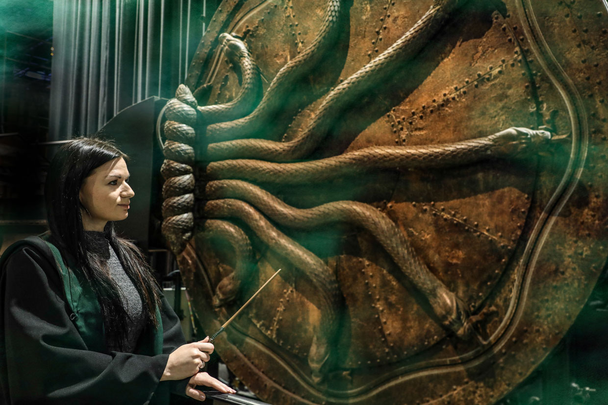 Slytherin fan stood in front of the Chamber of Secrets door