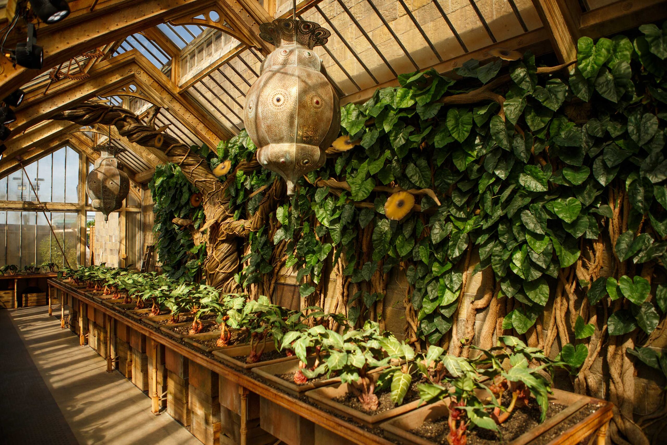 Professor Sprout's greenhouse at Warner Bros. Studio Tour London