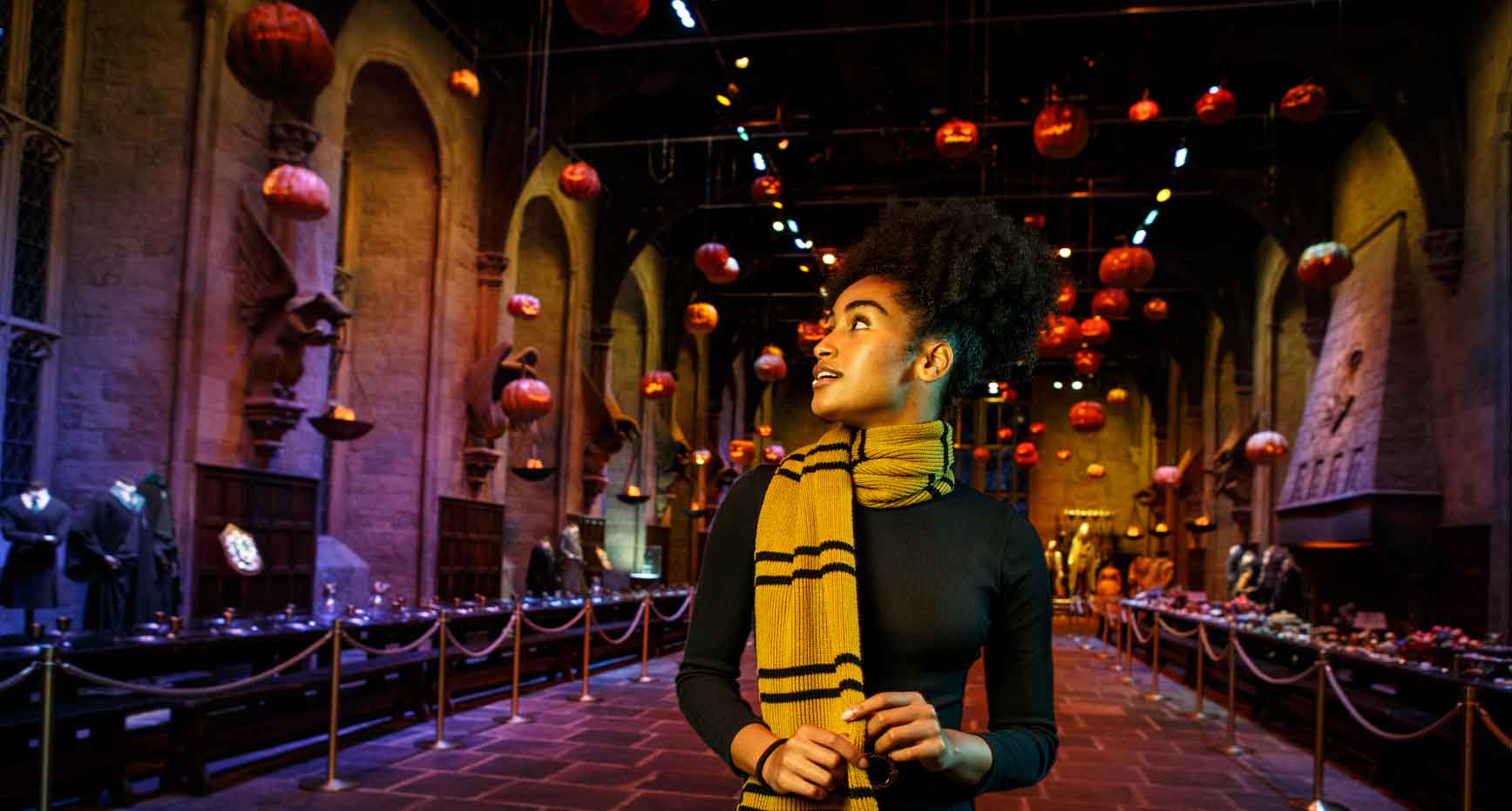 Visitor in the Great Hall during Dark Arts