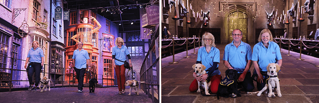 Guide Dog Handlers with three Guide Dogs on Diagon Alley and in the Great Hall