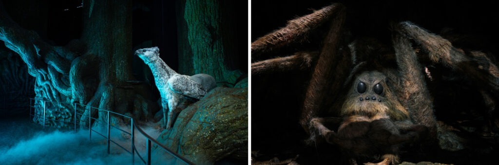 Buckbeak and Aragog in the Forbidden Forest set at Warner Bros. Studio Tour London.